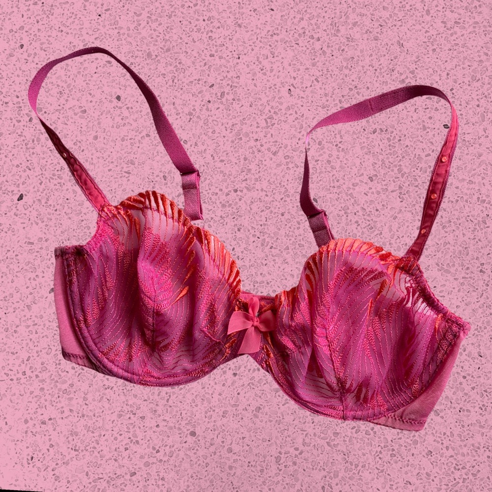 Whimsy Pink & Orange Sexy Lace Bra
